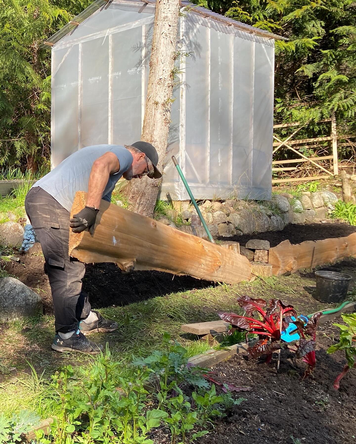 Jason Whyte gardening